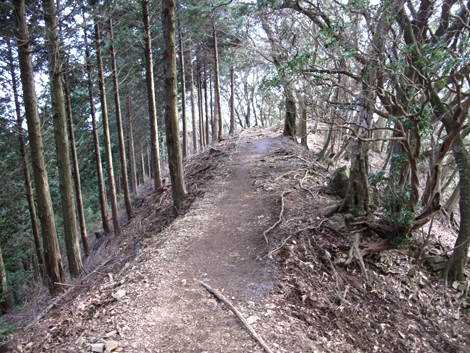 20151228hike (265)